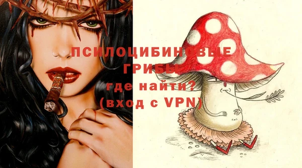 эйфоретик Майский