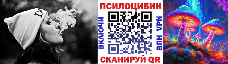что такое   Нариманов  Галлюциногенные грибы Cubensis 