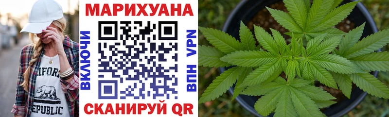Бошки Шишки гибрид  Нариманов 